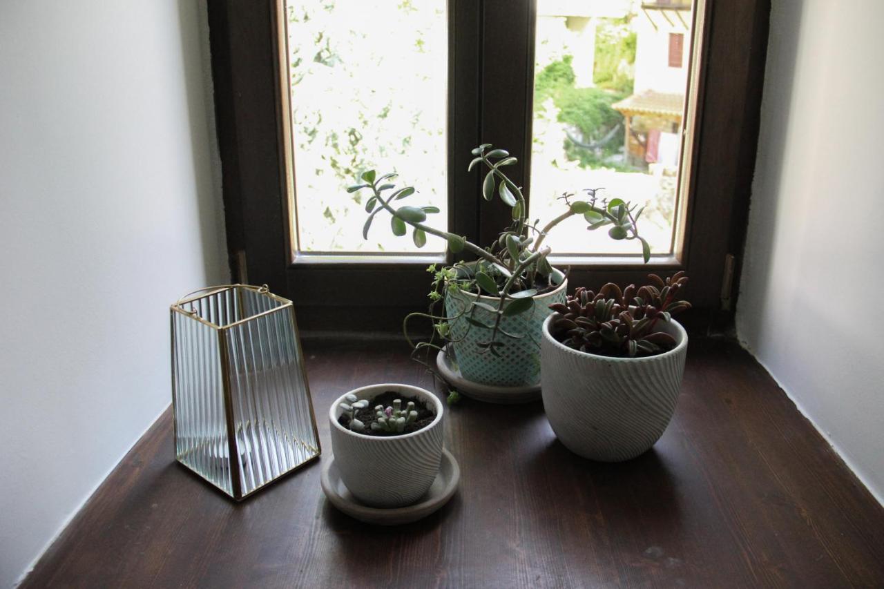Tsarbou Guesthouse ستيمنيتسا المظهر الخارجي الصورة